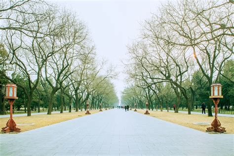 祖先要每天奉茶嗎